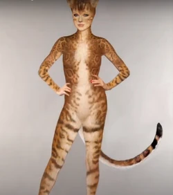 De kat van Taylor Swift is 90 miljoen euro waard