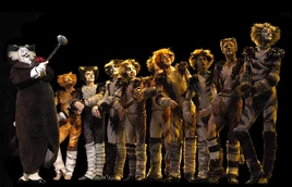 Bustopher 4 Moscow 05