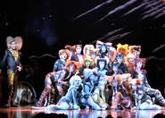 Naming of Cats Shizuoka ON 07.17.2024.jpg (1.77 MB) Haruka Yamazaki