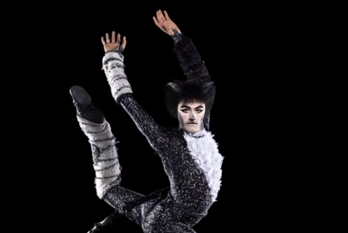 Mungojerrie and Rumpleteazer/Japanese | 'Cats' Musical Wiki | Fandom