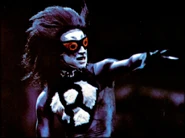 Rumpus Cat l8105 b38.jpg (144 KB)