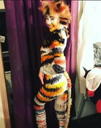 Rumple Briggs Bway Rev 2016.jpg (140 KB)