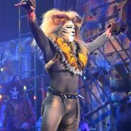 Rum Tum Tugger