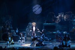 Asia Tour 2022-2023, 'Cats' Musical Wiki