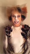 Jellylorum Clare Rickard London 2015 11.png (373 KB) Jellylorum, Blackpool 2015