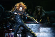 Macavity