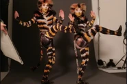 Mungojerrie