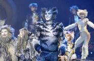 Grizabella