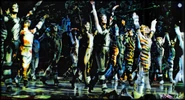 Coricopat, 2004