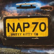 NAP70 Vienna 2020.jpg (166 KB) Ronacher Theatre, Vienna, 2019