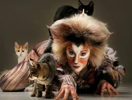 Erin James, Australasia 2010