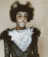 Mistoffelees (cover)