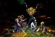 Rum Tum Tugger