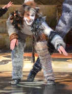 Tumblebrutus tt 2013.jpg (41 KB) Tumblebrutus