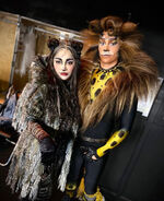 Grizabella, Asia Tour 2020