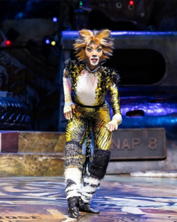 Asia Tour 2022-2023, 'Cats' Musical Wiki