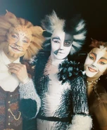 Skimbleshanks, Asia Tour 2020