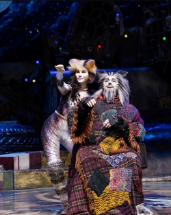 Asia Tour 2022-2023, 'Cats' Musical Wiki