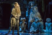 Grizabella, Intl Tour 2017