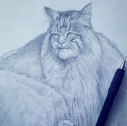 Concept Art