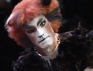 Plato Peter van Dosselaer Antwerp 1996 01.jpg (64 KB) Plato Peter van Dosselaer Antwerp 1996 01