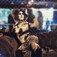 Munk (M Salazar) - Mex 2018 (3).png (711 KB)