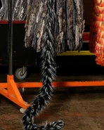 Grizabella