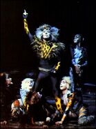 Rum Tum Tugger, 1990