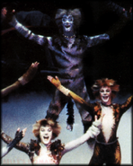 Munkustrap, 1997