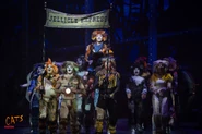 Fulton - Silla Roche - Mungo McManus - Adme Fossum - Munk Linsdell - Skimble Flanagan - Alonzo Schulte - Tugger Craven - Misto Giarratano - Jelly Sina.jpg (1.84 MB) Skimbleshanks, lifted by Munk and Alonzo; also Sillabub, Mungo, Admetus, Tugger, Misto, Jelly