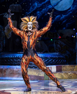 Asia Tour 2022-2023, 'Cats' Musical Wiki