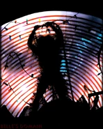 Macavity Vienna 83 2.jpg (203 KB)