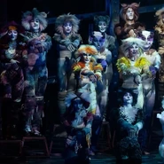 Fulton pyramid detail left.jpeg (107 KB) Kneeling: Etcetera, Mistoffelees. Standing: Rumpleteazer, Tantomile, Jellylorum, Coricopat. Elevated: Electra, Jonathan, Juniper, Cassandra, Quaxo.