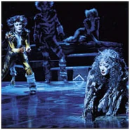 Grizabella, 2003