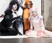 Fulton - Misto Alonzo Plato Vic photoshoot.png (367 KB) Mistoffelees, Alonzo, Plato, and Victoria