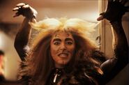 Rum Tum Tugger