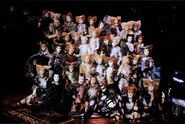 Bombalurina, Paris 1989 (centre, second from top)