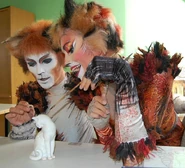 Ross McDermott (cover)