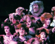 Pyramid L9211 Tomkittens.jpg (535 KB) Old Deuteronomy, London 1992