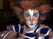 Mungojerrie Siamese Wichita 2007.jpeg (55 KB) Mungojerrie / Siamese