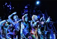 Pop Ups Jellicle Ball RCCL Cast 12.jpg (510 KB) Charlie Bishop