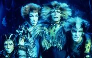 Rum Tum Tugger