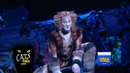 Skimble Broadway revival 02.png (1.44 MB) Jellicle Songs