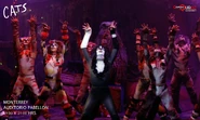 Jellicle Ball MX2 2019.jpg (157 KB) Jellicle Ball