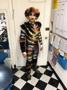 Mungojerrie Aaron Albano Broadway 2017 02.jpg (54 KB)