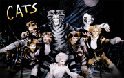 Wikia-Visualization-Main,catsmusical