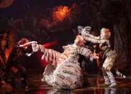 Jellylorum, China 2012