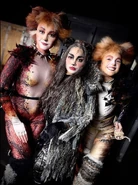 Bombalurina, Asia Tour 2020