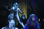 Glamour Cat Italian Tour 2009.jpg (48 KB)