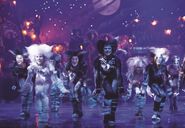 Ensemble dance the Jellicle Ball